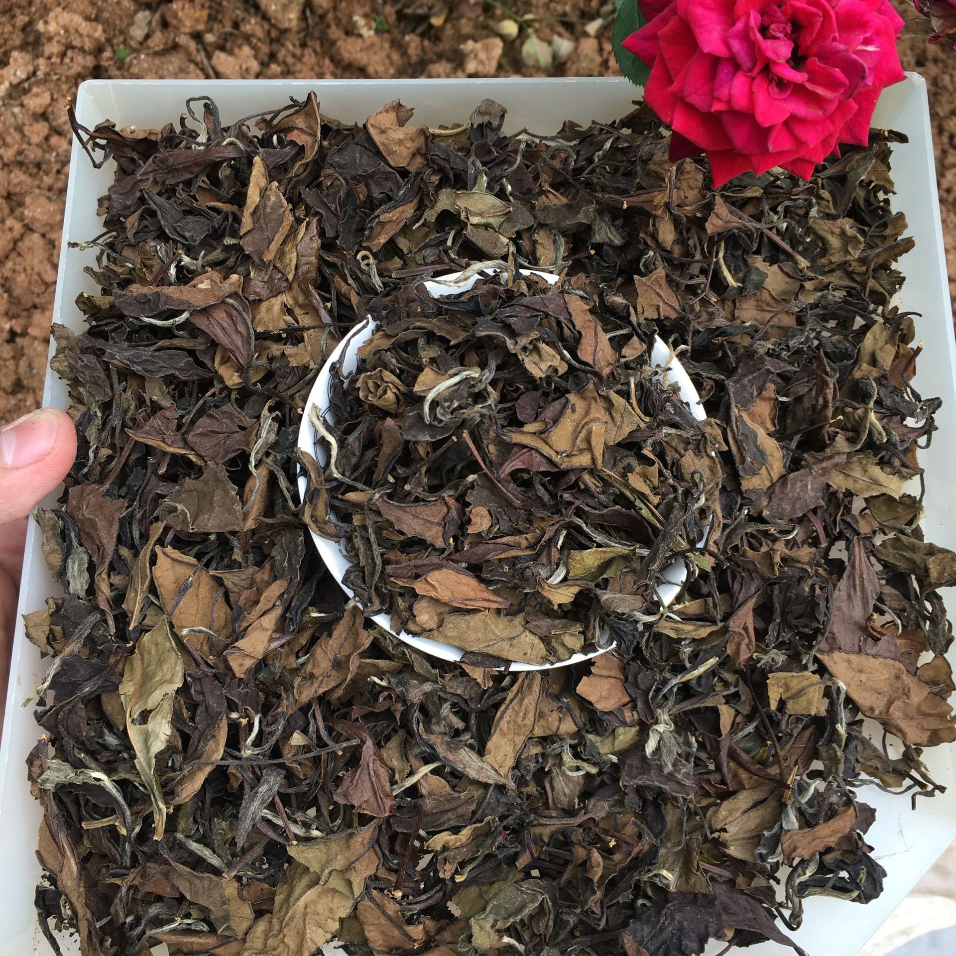 微信图片_20220428103131