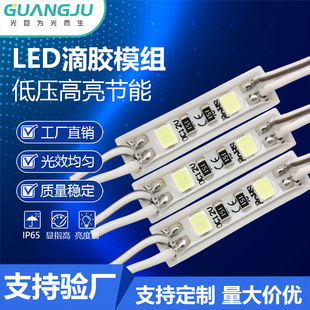 Led Module Outdoor Waterproof Brand Chip Led Light Luminous Word Light Box Glue Advertising Module Factory Wholesale