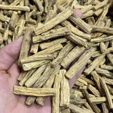���Cếh�h�����h���Ηl��؛�o���؛�h���Ҝ�ɢ�b�жδ�؛���l