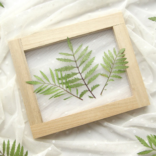 Marigold leaf real flower dried flower embossed gum drop bookmark leaf photo frame diy material teaching plant specimen