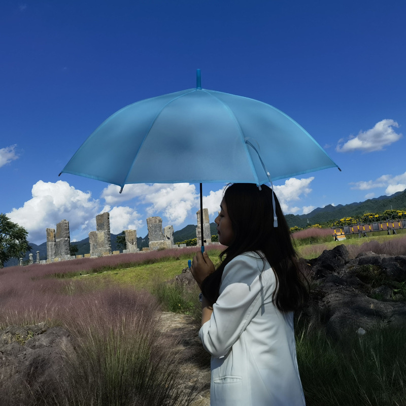 Fresh Style Instagram Style Transparent Umbrella Women's Frosted Semi-automatic Curved Hook Long Handle Transparent Umbrella