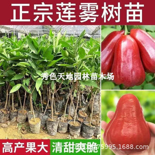 ɏ�F������޽�����ǰűȺڽ������~�t����ˮ�����Ե��Ԯ�����