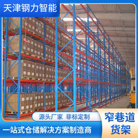 窄巷道立体货架 高承重托盘仓储架 冷冻仓库使用 天津钢力