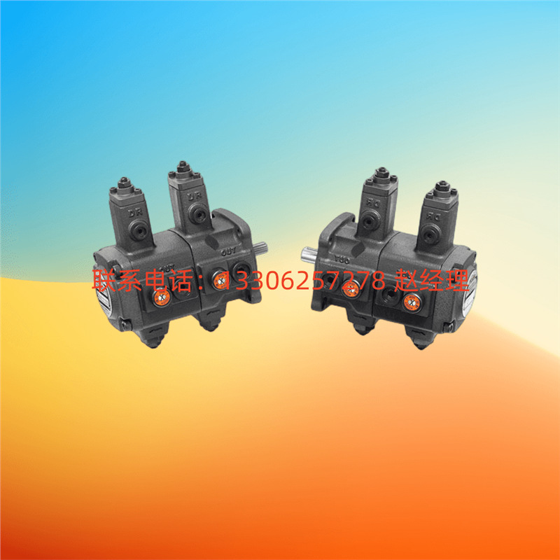 台湾ANSON安颂现货双联叶片泵PVDF-420-355-10S PVDF-420-370-10