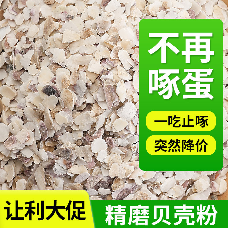 贝壳粉饲料牡蛎粉鸡鸭鹅补钙鹌鹑鸽子产蛋防软壳牡蛎蛋鸡高钙