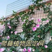 �����ܾW��@ˇֲ�������¼��Nޱ�����������پW���o�W�F�z�W