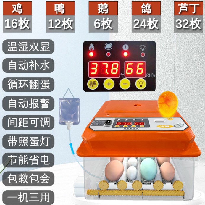 全自动孵蛋器孵鸡鸭鹅鹌鹑鸽子芦丁鸡儿童家用小型孵化器孵蛋机
