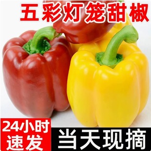 ɽ�|���r����ʽ��A���t���S�����r����ˮ��3��5����һ�����l