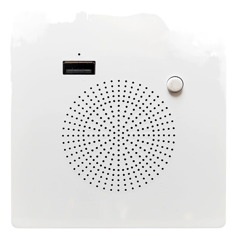 86-тип встроенный Bluetooth аудио умный настенный беспроводной динамик панель управления домашняя гостиная U диск воспроизведения