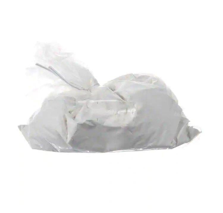 Dionex ASE Prep DE 硅藻土 戴安 062819 Thermo代理