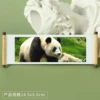 Panda 116