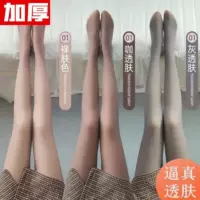 YH460g прозрачные флисовые утепленные леггинсы для стюардесс, серый нейлон, молочно-кофейный цвет, прозрачная верхняя одежда, комбинезон-брюки