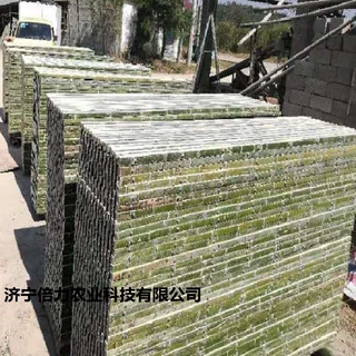 山东竹子羊床竹羊床漏粪板竹制羊床厂家直销加厚竹子制作间隙小
