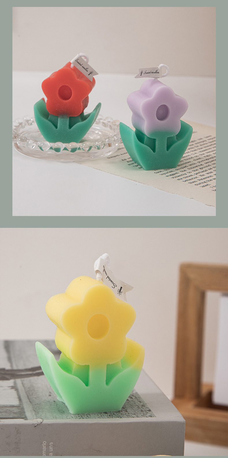 小花蜡烛_15.jpg
