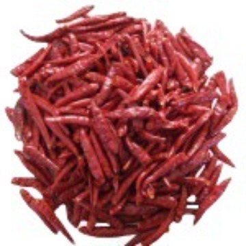 长期供应干辣椒   Dried chilli 欢迎大量订购 价格美丽