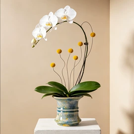 花盆容器;花盆装饰;家用烟灰缸