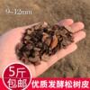 Pine bark rotten large pieces of fermented pine phosphorus cultivation matrix Dendrobium candid Dendrobium candidum plant material wholesale