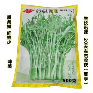 ̩�����~�M�ڿ��Ĳ˷N�Ӱ����u���~ѿ��˷N��������ζ�߲��ļ��N