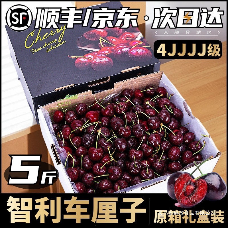 Chilean Cherries Fresh Fruit Free Shipping 2.5kg Gift Box Seasonal Whole Box Imported Cherries for Pregnant Women 3J4J5J