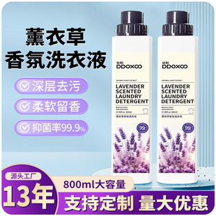 Lavender fragrance laundry detergent decontamination household bottled 800ml wholesale batch of whole box batch activity gift manufacturers