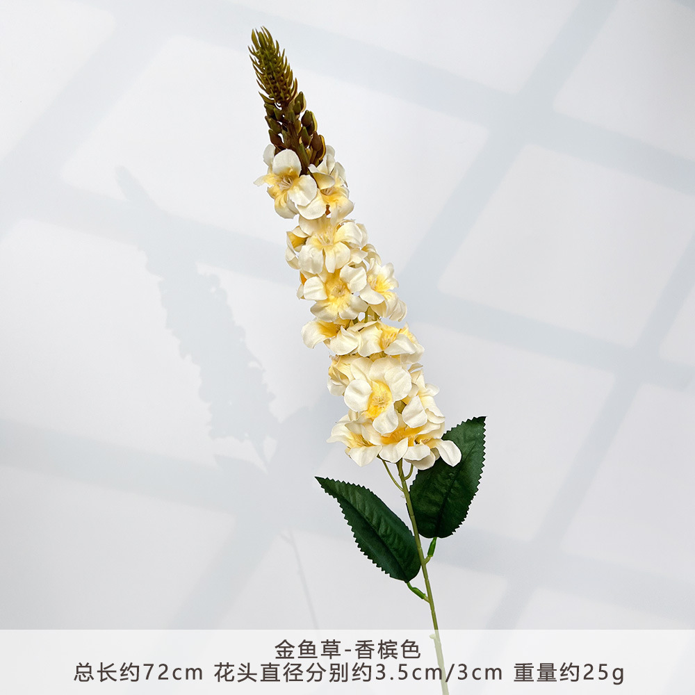 S-金鱼草-香槟