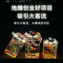 鱼瓶网红罐罐摆摊发光水晶批发泡泡鱼瓶子水草灯材料包夜市