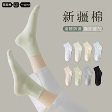 �m��Ůʿ��Ͳ�m�ļ��������m���＾����͸�⼃ɫ�־����m�S�����l