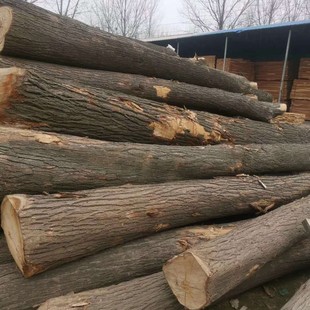 ���ľľ��� ��Ȼ��ľ�Ҿ߲� ������ĥ�h����� ƴ��ذ��b���