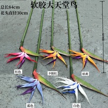 新款大天堂鸟厂家 软胶大天堂鸟 家居美陈空间设计婚庆仿真花批发
