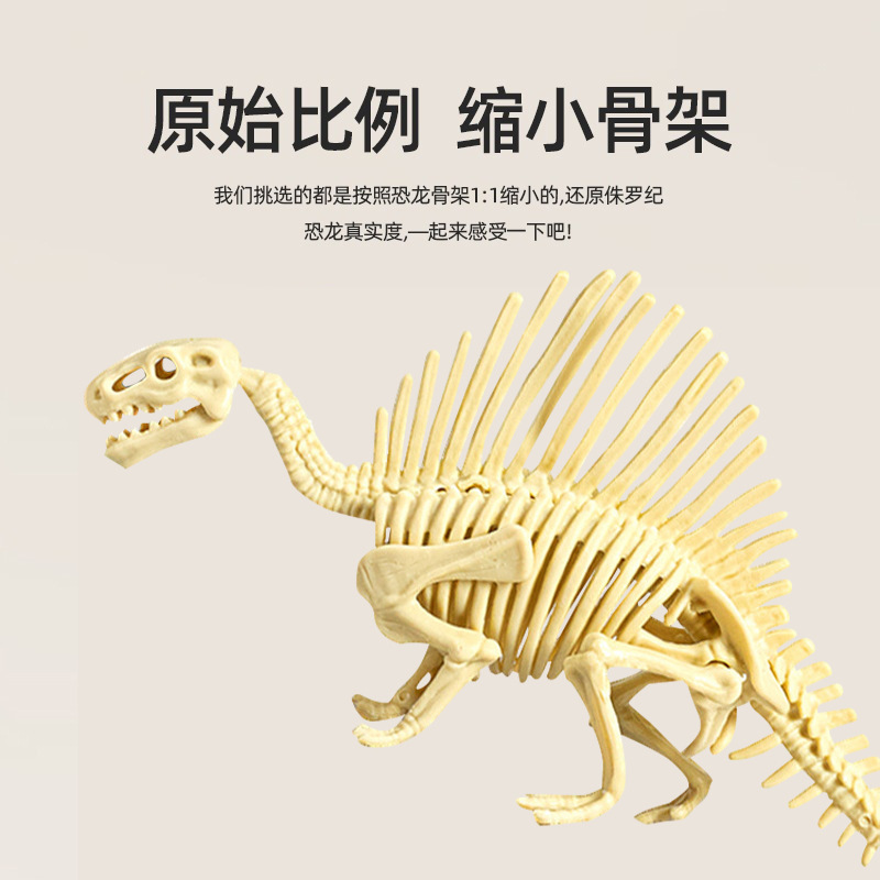 恐龍考古批發玩具兒童手工DIY挖掘寶石尋寶仿真考古化石拼裝恐龍