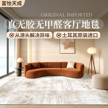 土耳其风轻奢奶油风无胶无甲醛机织防滑客厅卧室民宿工程地毯批发