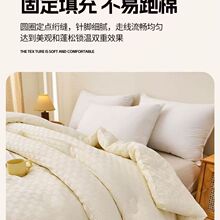 A类大豆纤维被加厚保暖超软棉被冬被春秋冬被子被芯单人学生宿舍