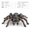 T15351 Bird Catching Spider 18g