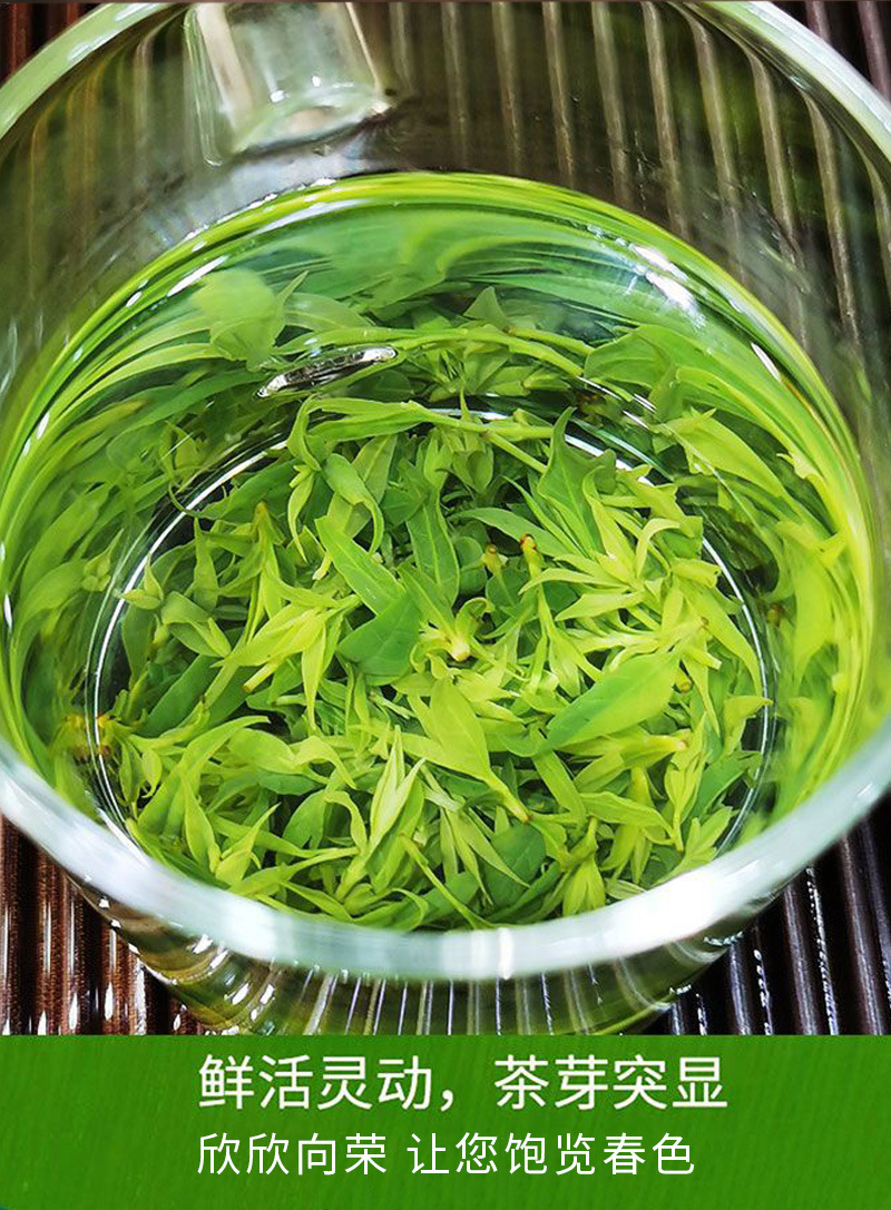 Small Leaf Kuding Tea Ku Ding Cha 70g Can Wild Style Green Bitter Tea Hot Brew Daily Herbal Drink preparation
