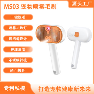 Cross-Border Pet Spray Comb Cat and Dog Massage Comb Brush Knot-Opening Needle Comb Anti-Flying Hair Removal Artifact