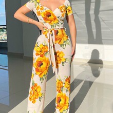 2023���R�d�M�����տ�ӡ������o���B�wѝ-��Ҫ����