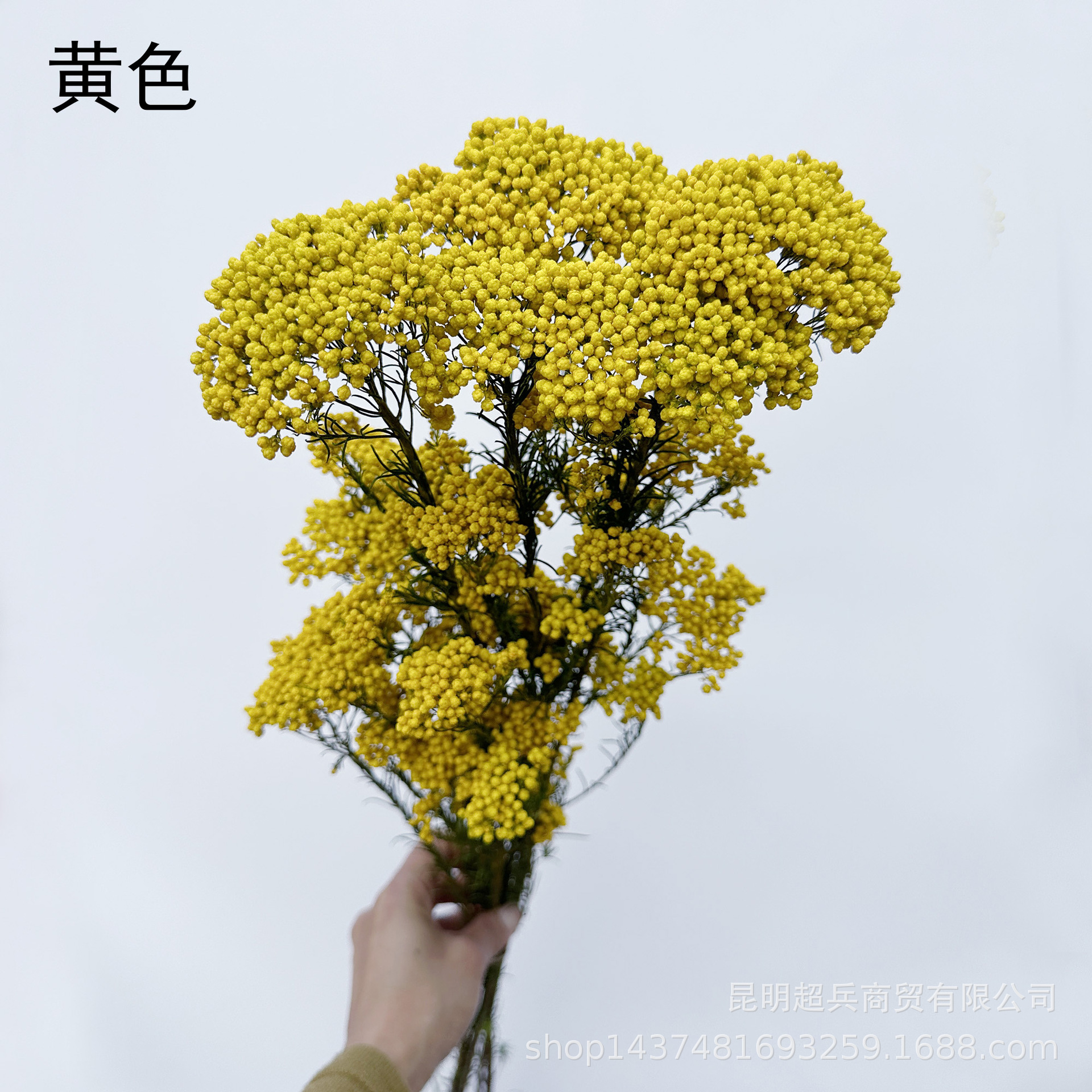 Jaune