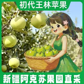 红枣干;葡萄干;苹果