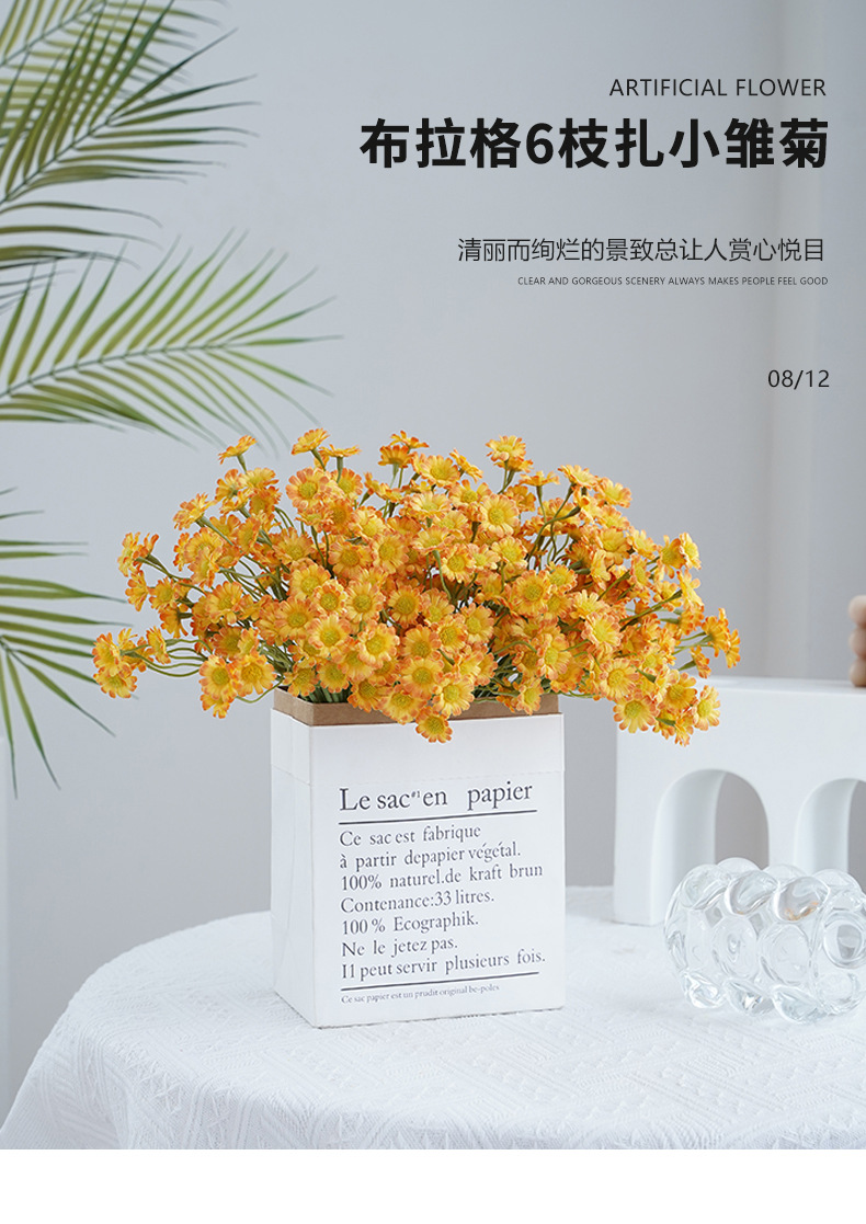 布拉格6枝扎小雏菊_01.jpg