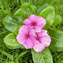 �ļ��_���L�����N�����մ����÷����ͥԺ�����^�p�����ļ����N