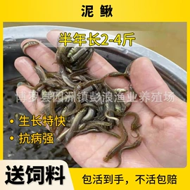 特种水产;水产种苗;库存农产品