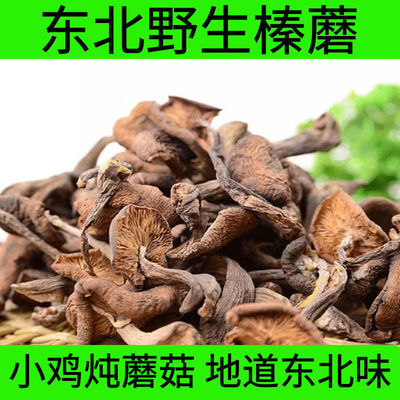 Northeast Hazel mushroom dried food chick Mushroom Hazel mushroom wholesale Changbai Native Hazelnut mushroom Rootless