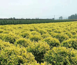 ���Գ������l���~���� ���κ� ���̈@�־G���� ���󃞻� ���~����