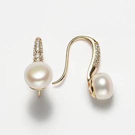 项链;耳环;耳钉