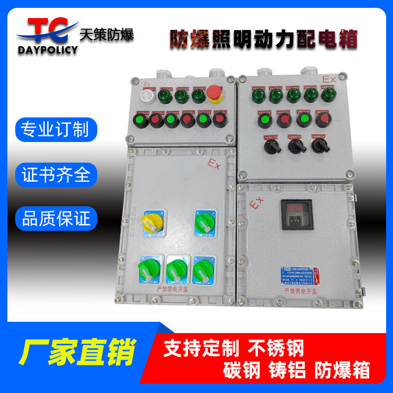 防爆动力照明配电箱防爆配电装置控制箱箱 防爆控制箱 BXK