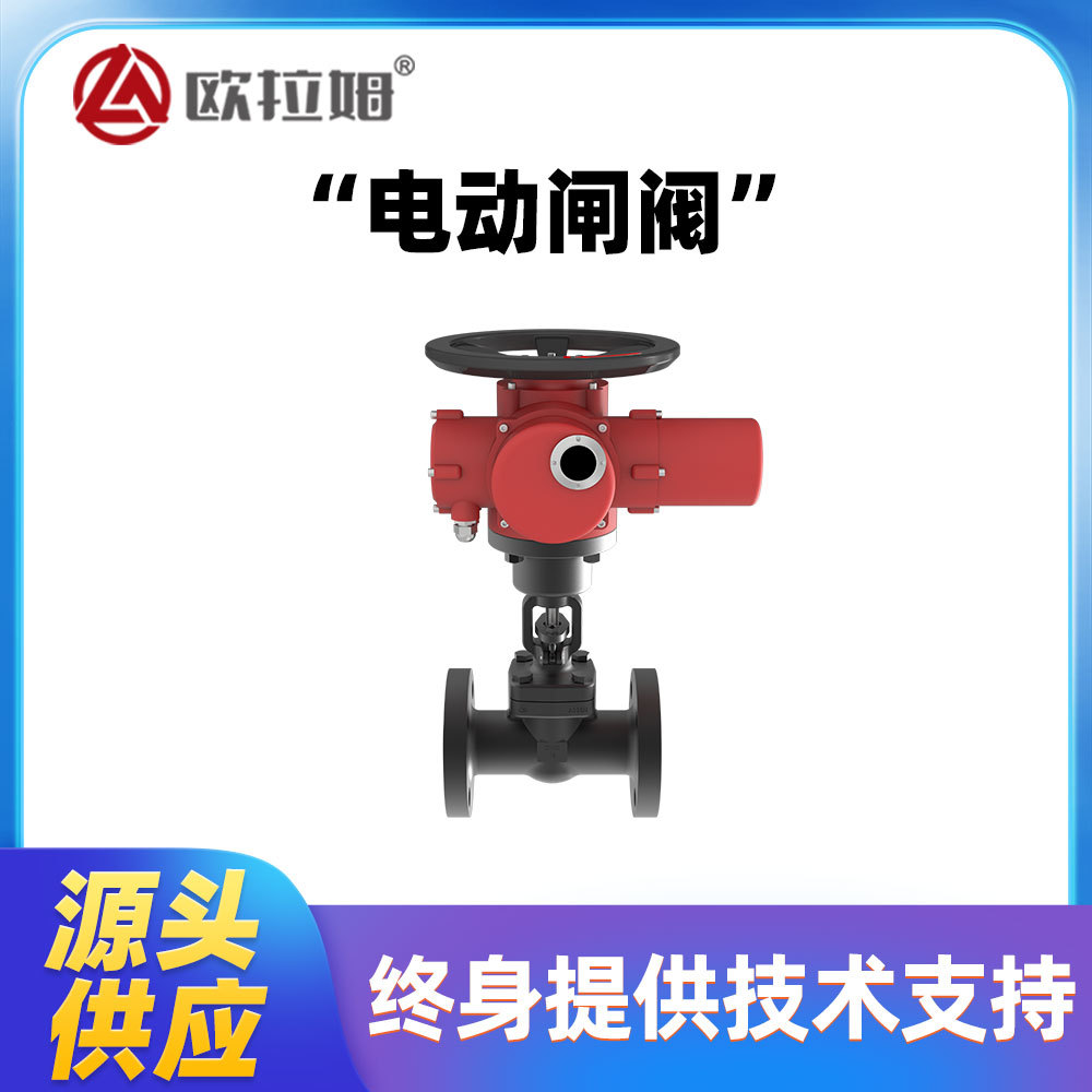 电动闸阀型号 Z941H 国标DN32 法兰连接 制丸装置工艺严格欧拉姆