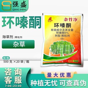 �s��� 5%�h�ͪ ���s���ľ�h�ͪ���ݠ��������݄����s���rș