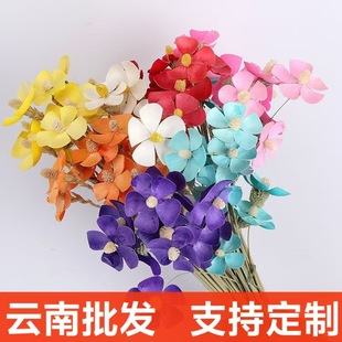 Violet Eternal Flower Handmade Dried Flower Oncidium Popular Bouquet DIY Flower Material Home Decoration Ornaments Manufacturer Direct
