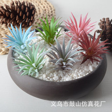 仿真多肉迷你小剑草绿植植物办公室客厅家居装饰小盆景盆栽领教草