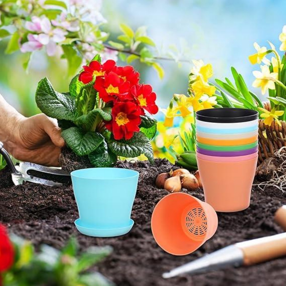 71FtHC-ZH3L._AC_SX569__副本